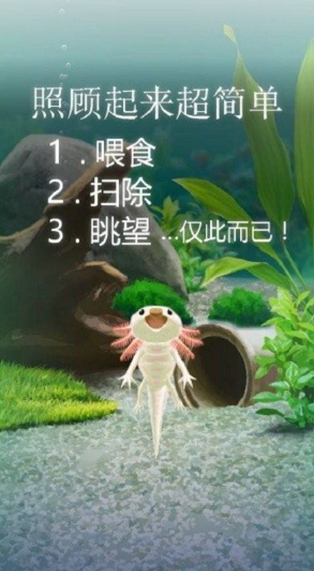 治愈的蝾螈育成游戏