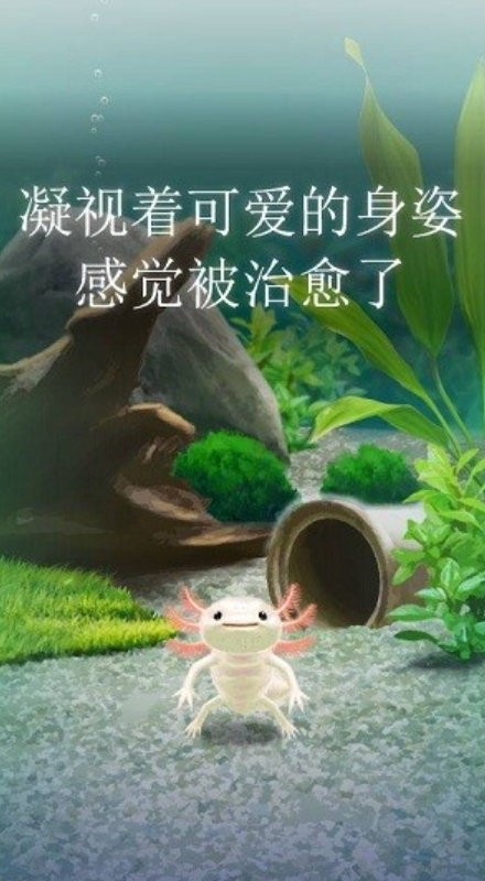 治愈的蝾螈手游截图1
