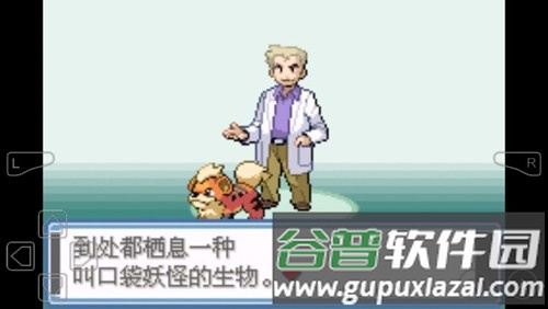 口袋妖怪永恒之焱内置修改器版截图3