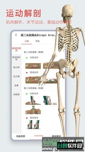 3Dbody手机版截图1
