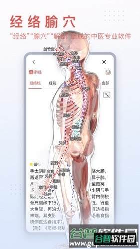 3Dbody手机版截图2