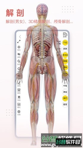 3Dbody手机版截图3
