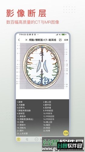 3Dbody手机版截图4