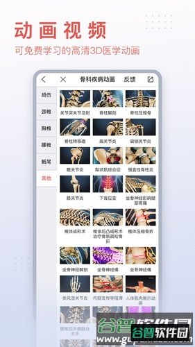 3Dbody手机版截图5