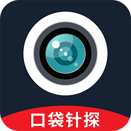 口袋针探appv1.0.3