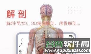 3Dbody艺用2
