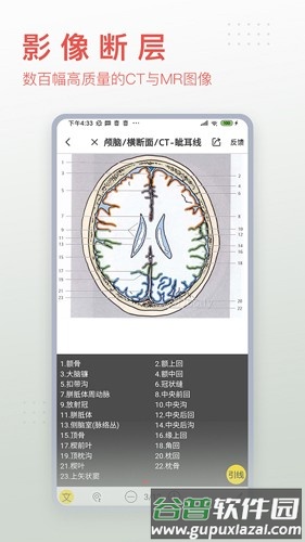 3Dbody艺用app截图3