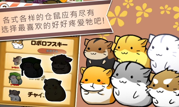 仓鼠的日常2025最新版截图1