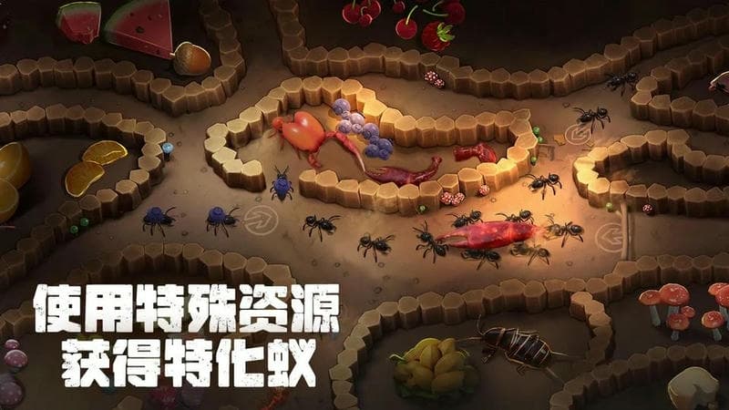 蚂蚁大冒险游戏