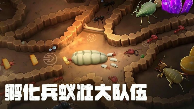 蚂蚁大冒险完整版截图1