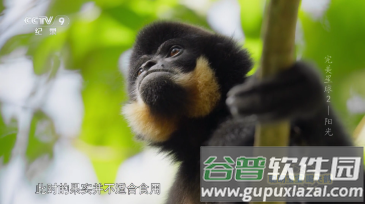 七星影仓内置源版截图3