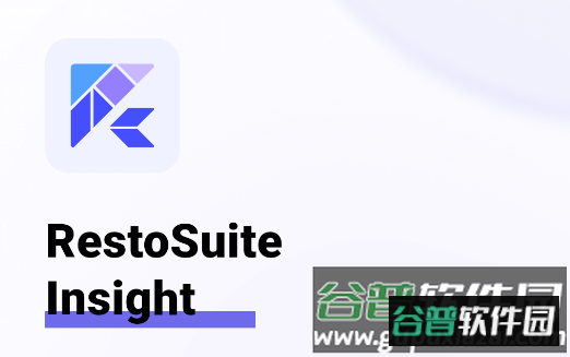 RS Insight官方正版 RS Insight官方正版