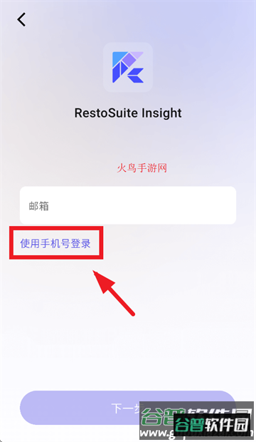 RS Insight官方正版 RS Insight官方正版