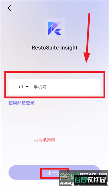 RS Insight官方正版 RS Insight官方正版