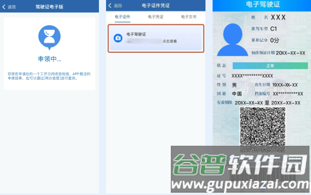 电子驾驶证示例