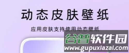 灵动主题皮肤app2