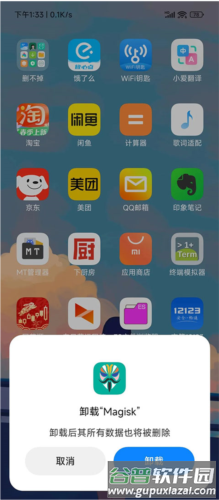 Magisk Delta app