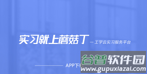 蘑菇丁app