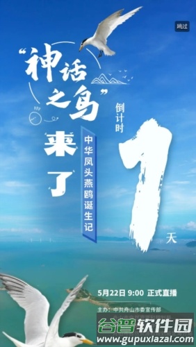 竞舟图片4