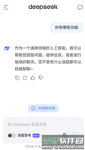 Deepseek软件图片2