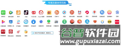 移动大王卡1