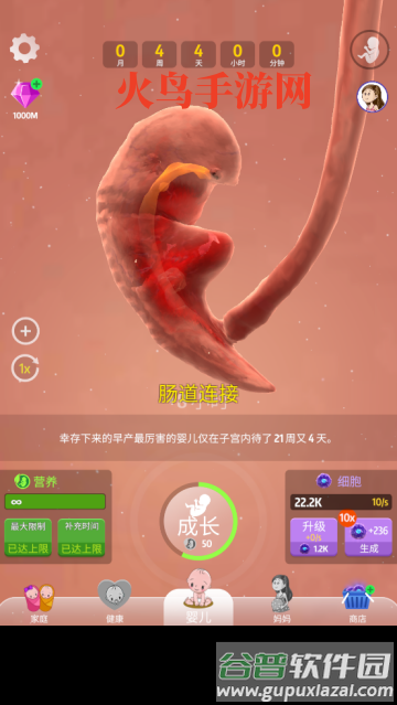 人类进化史游戏