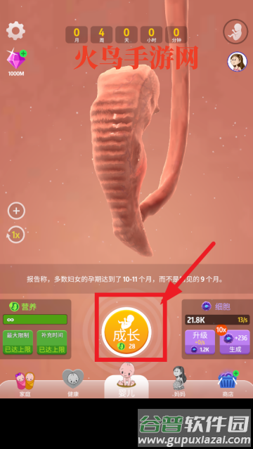 人类进化史游戏