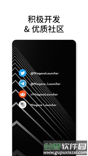 Niagara桌面截图5