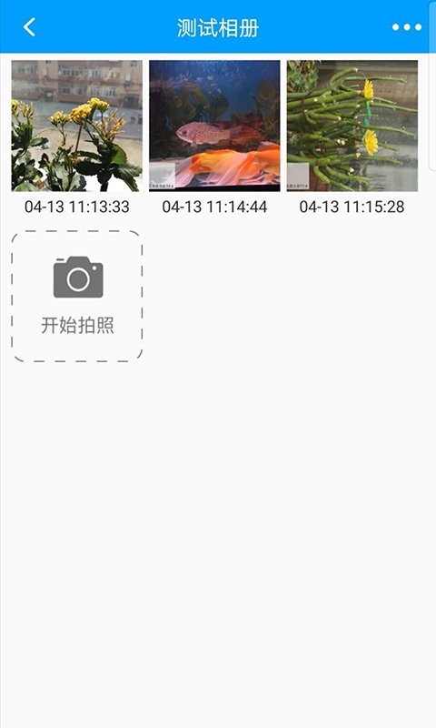 龙浩经纬拍官方版下载