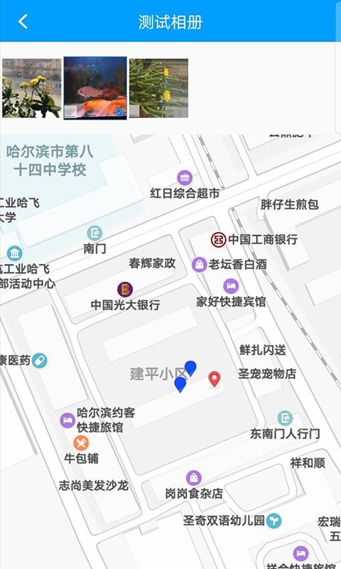 龙浩经纬拍app截图3