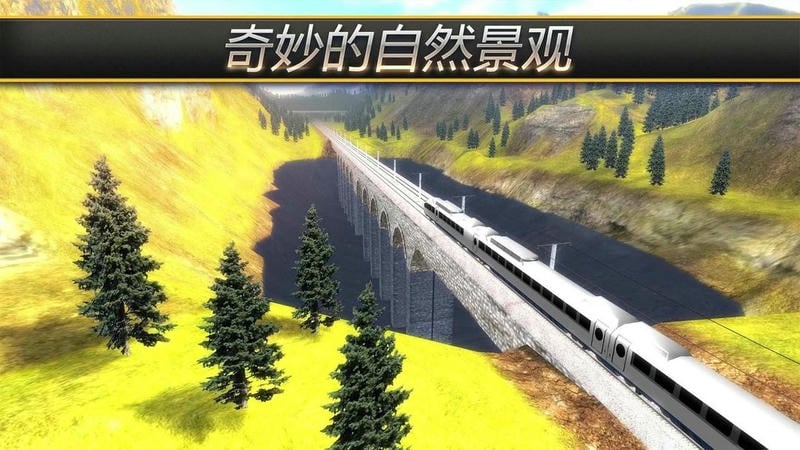 驾驶火车模拟器中文版截图2