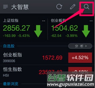 大智慧软件截图1