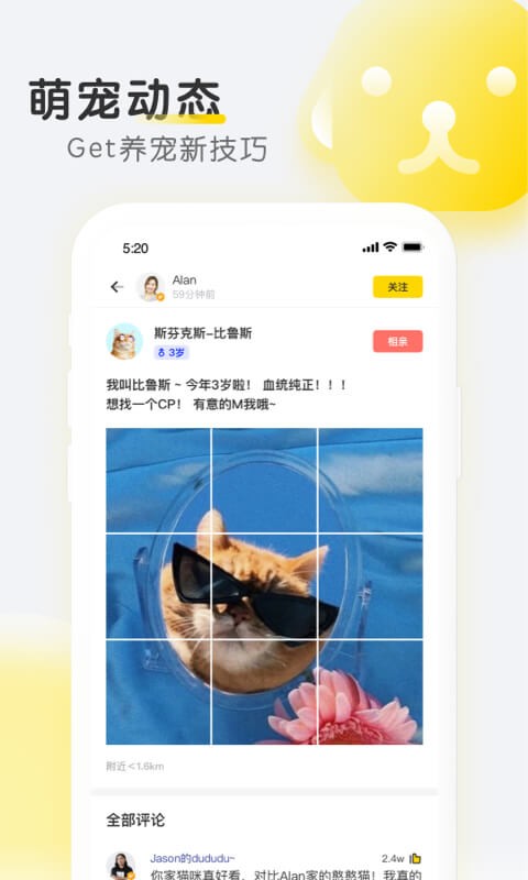 宠物全知道手机版截图4