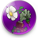 植物大战僵尸乐pad完美存档版v1.0.0