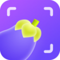 茄子相机appv2.1.0.1