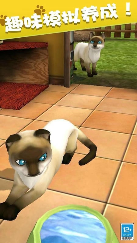 我的动物王国手机版截图2