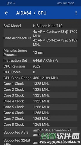 AIDA64中文版截图2