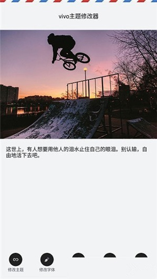 vivo主题修改器最新版2025截图2