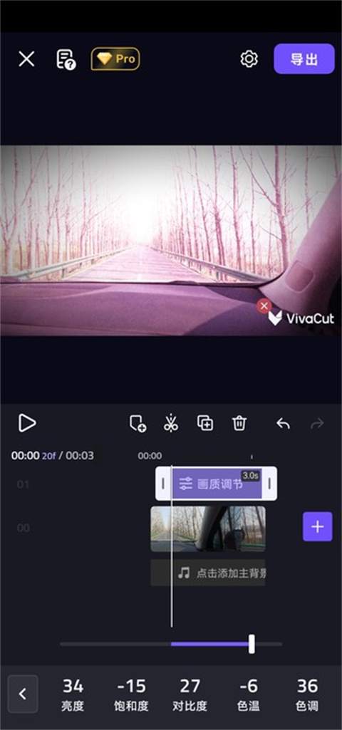 vivacut国际版