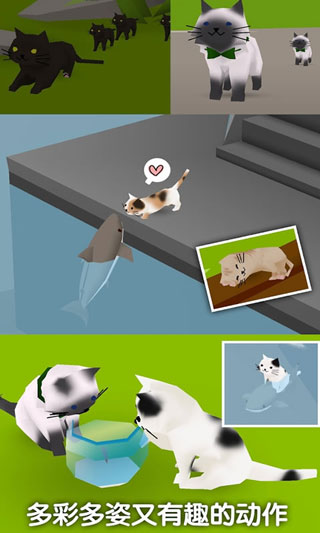 猫猫与鲨鱼正版截图3
