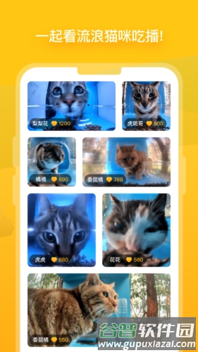 哈啰街猫app