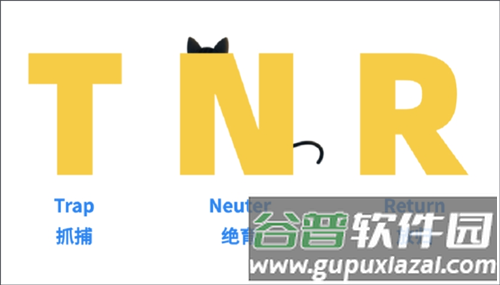 哈啰街猫产品核心