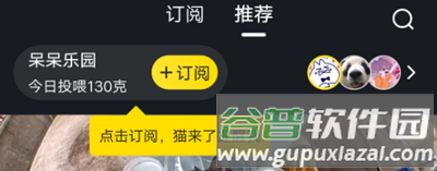 哈啰街猫怎么用3