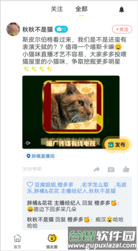 哈啰街猫怎么用7