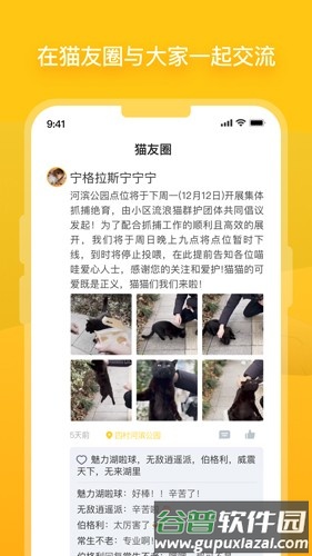 哈啰街猫app截图2