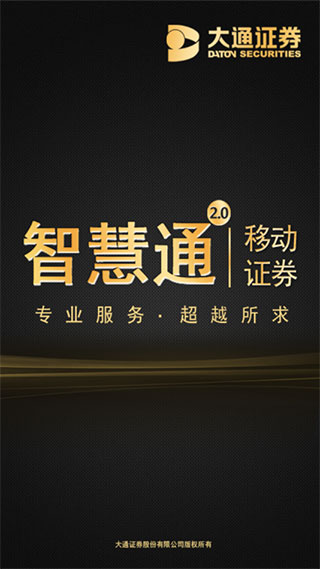 大通证券手机版截图1