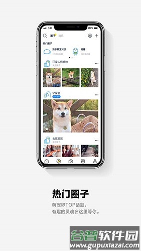 它福app截图1