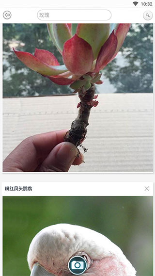 万物识别软件(万物头条)截图4