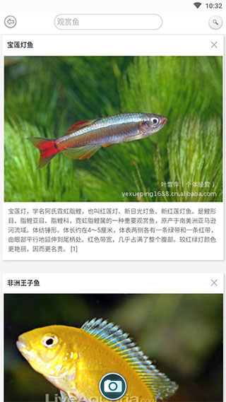 万物识别软件(万物头条)截图5