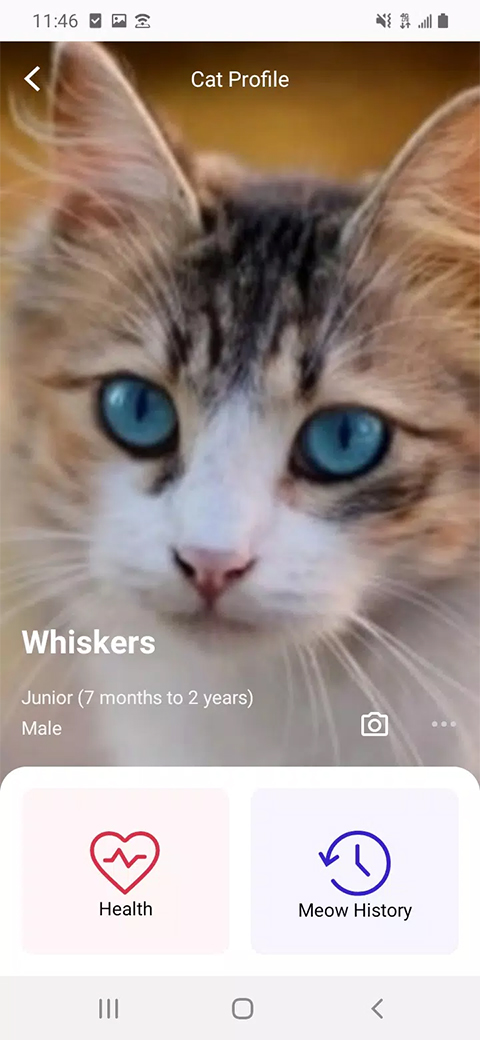 meowtalk喵说安卓版截图3